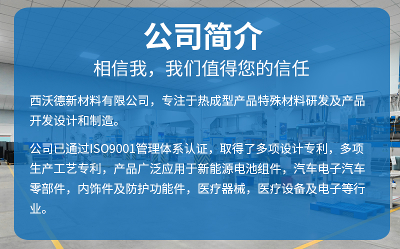 汽车机械厚片吸塑盖公司简介